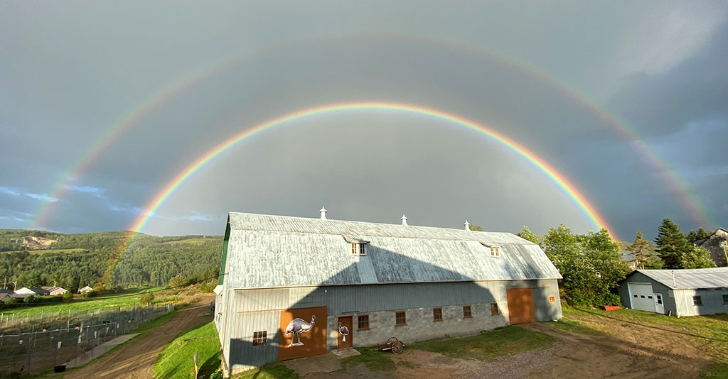 ferme emeu arc-en-ciel